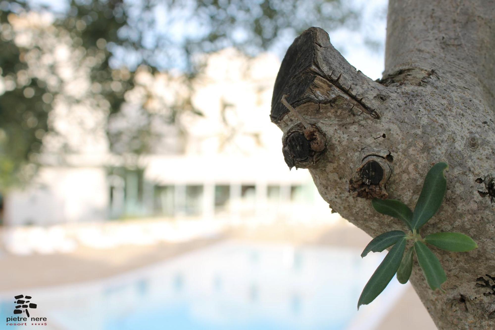 Pietre Nere Resort & Spa モーディカ エクステリア 写真